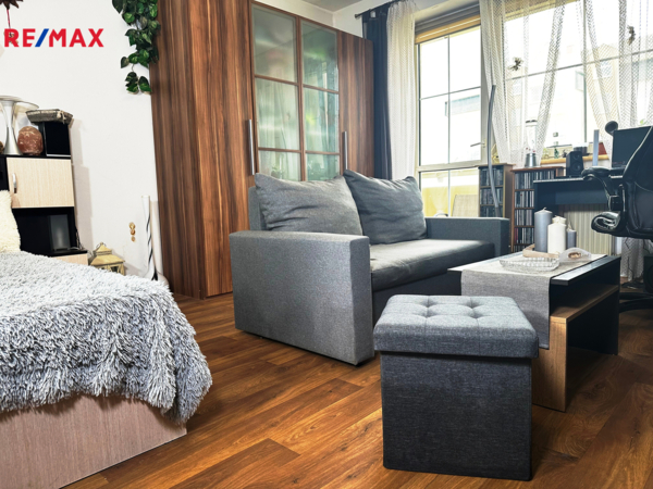 REMAX Delux
