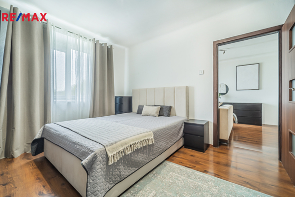 REMAX Delux