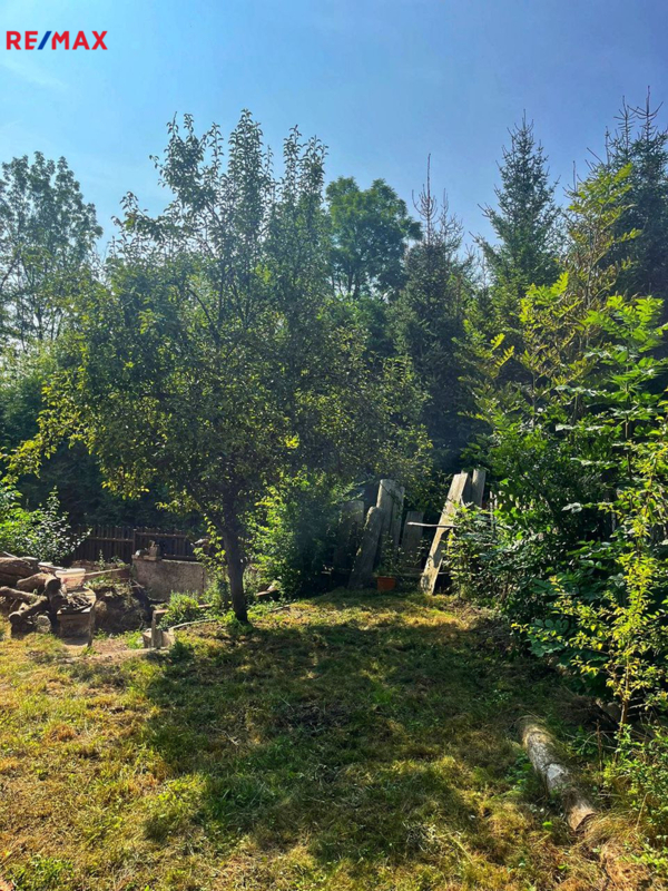 2631678.jpg
