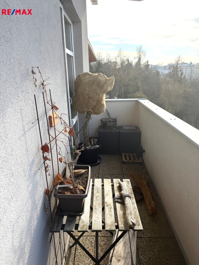 Práce v realitách Brno