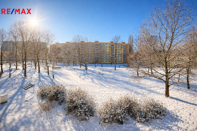 Realitní makléř Brno