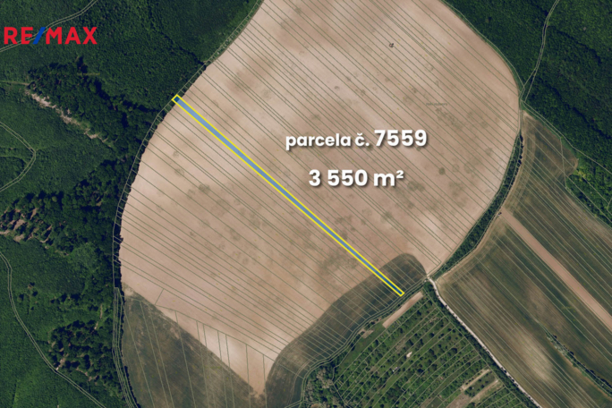 REMAX Brno REMAX Brno