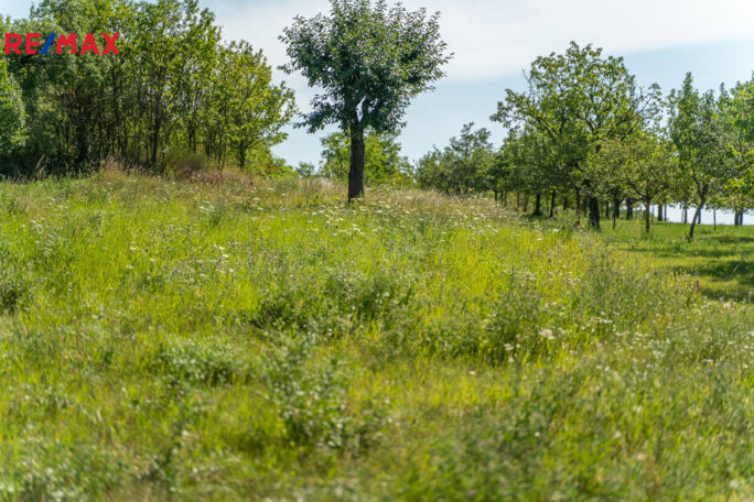 Prodej rodinného domu, 80 m2, Žeravice - obrázek 1