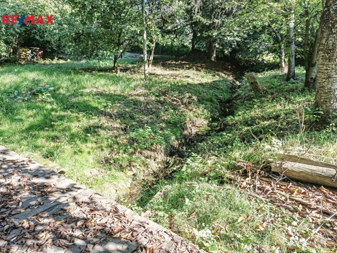 2999494.jpg 2999494.jpg