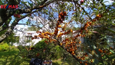 Prodej nemovitostí Brno