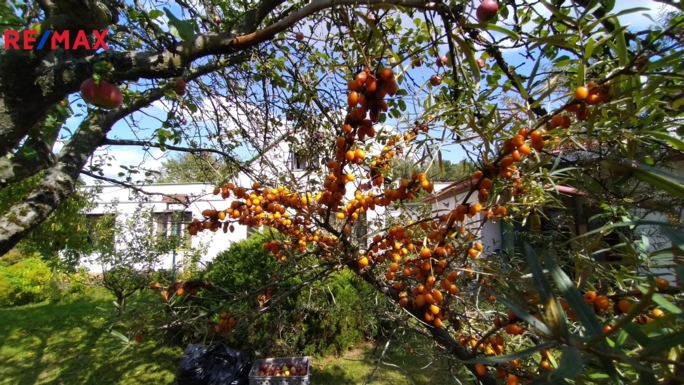 Prodej nemovitostí Brno