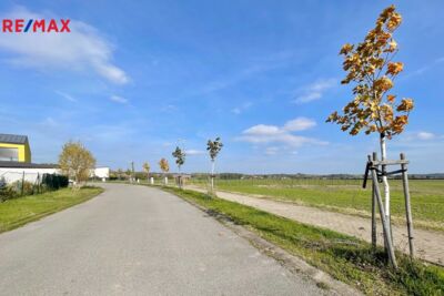 Prodej nemovitostí Brno