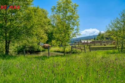 2810045.jpg 2810045.jpg