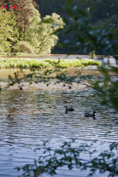 Práce v realitách Brno