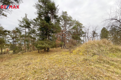 2635583.jpg 2635583.jpg