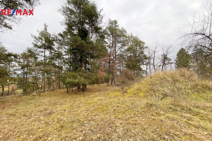 2635583.jpg 2635583.jpg