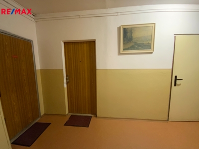 REMAX Delux REMAX Delux