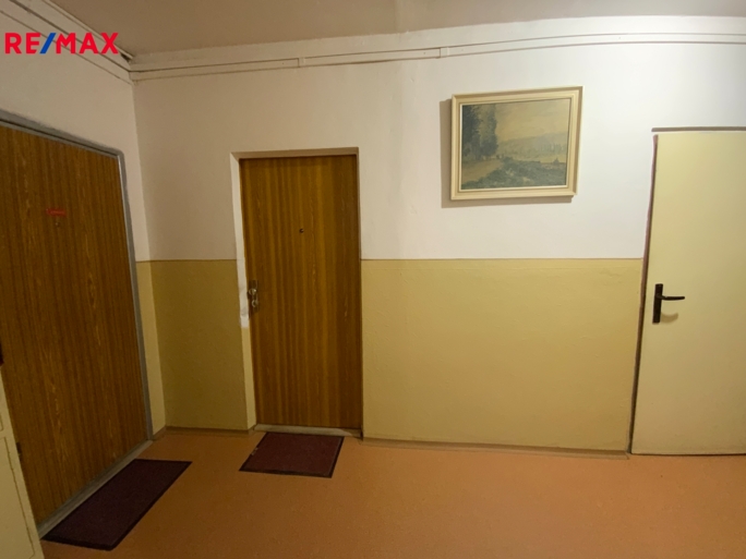 REMAX Delux REMAX Delux