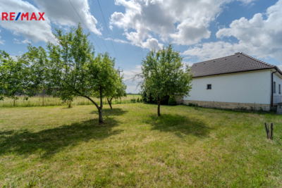 3049810.jpg 3049810.jpg