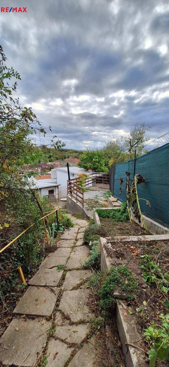 3035463.jpg 3035463.jpg