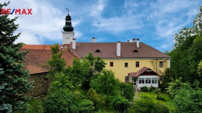 REMAX Delux REMAX Delux