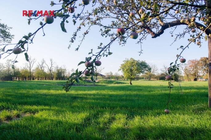 Prodej rodinného domu 280 m2 s hospodářským stavením, pozemek 4 901 m2 - obrázek 5