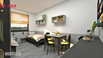 Pronájem bytu 1+kk, 34 m2, Brno