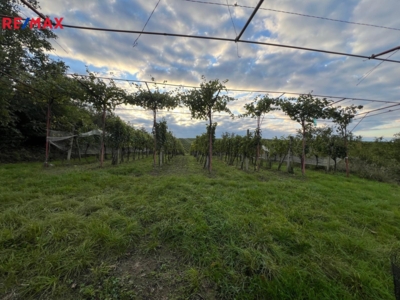 Realitní makléř Brno Realitní makléř Brno