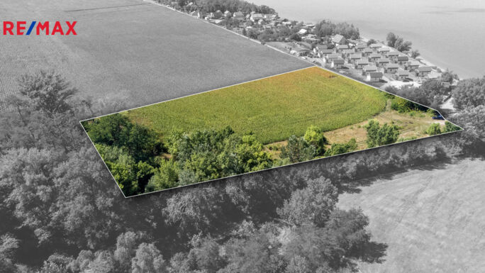 Prodej pozemku pro bydlení, 12306 m2, Šakvice - obrázek 3