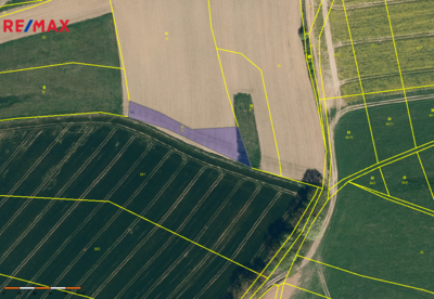 Realitní makléř Brno