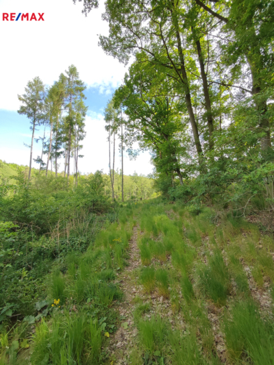 REMAX Delux REMAX Delux