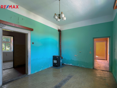 REMAX Delux