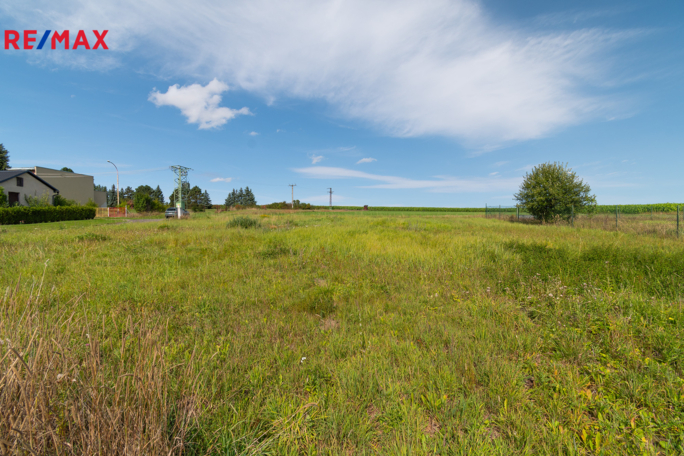 3076499.jpg 3076499.jpg