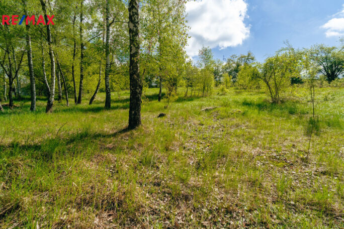 Prodej pozemku pro bydlení, 28310 m2, Střítež - obrázek 20