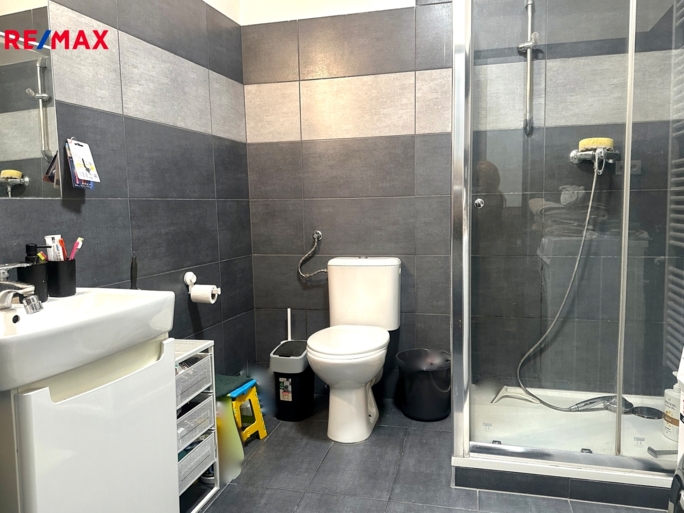 REMAX Delux