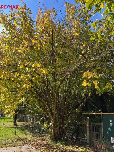 3058673.jpg 3058673.jpg