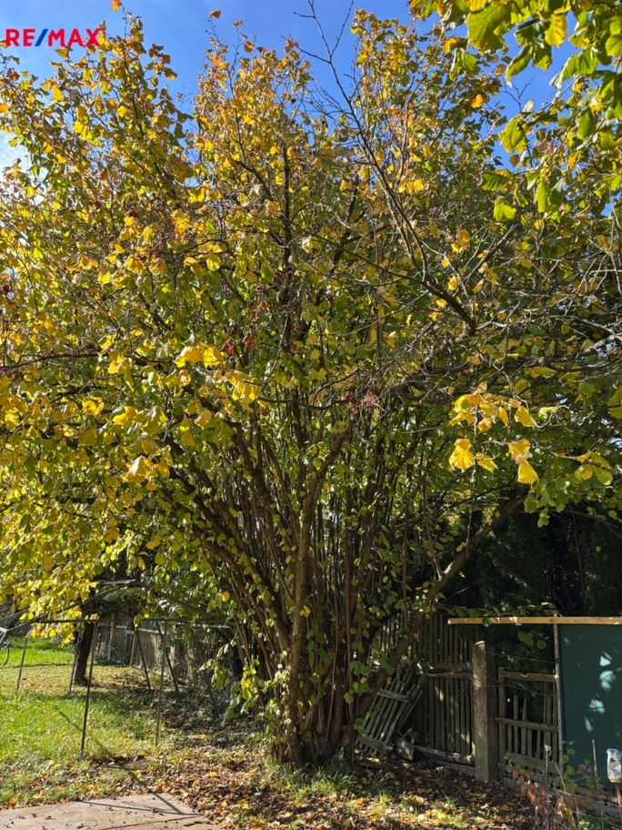 3058673.jpg 3058673.jpg