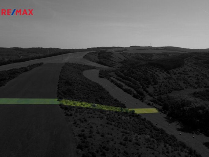 Prodej trvalého travního porostu, 4095 m2, Hustopeče - obrázek 12