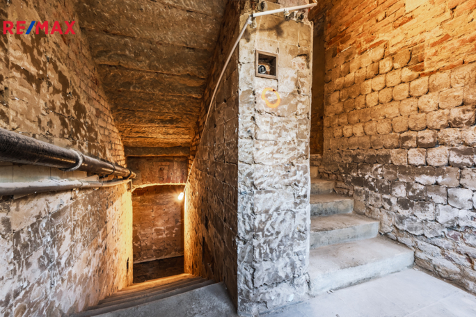 REMAX Delux REMAX Delux