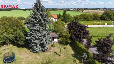 2994625.jpg 2994625.jpg