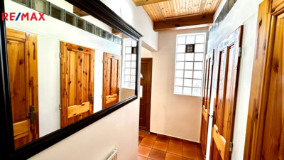 REMAX Delux REMAX Delux