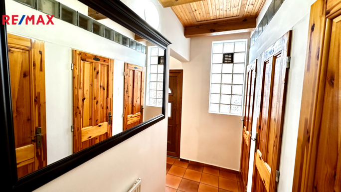 REMAX Delux REMAX Delux