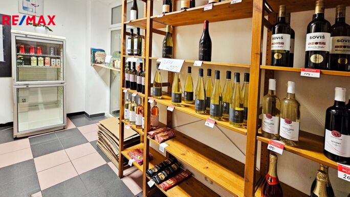 Realitní makléř Brno