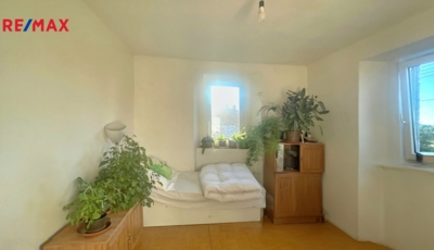 2961493.jpeg 2961493.jpeg