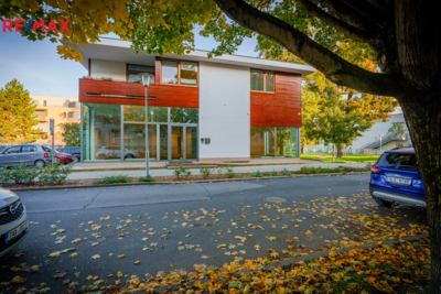 3050382.jpg 3050382.jpg