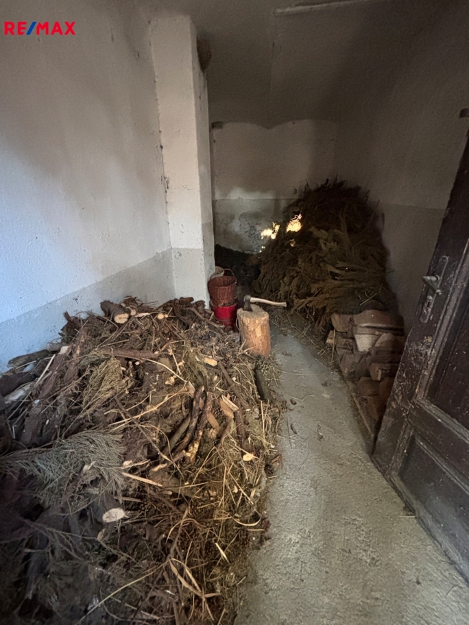 3029354.jpg 3029354.jpg