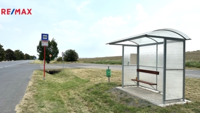 2950541.jpeg 2950541.jpeg