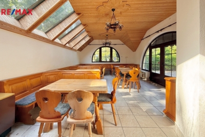 REMAX Delux REMAX Delux