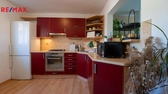 REMAX Brno