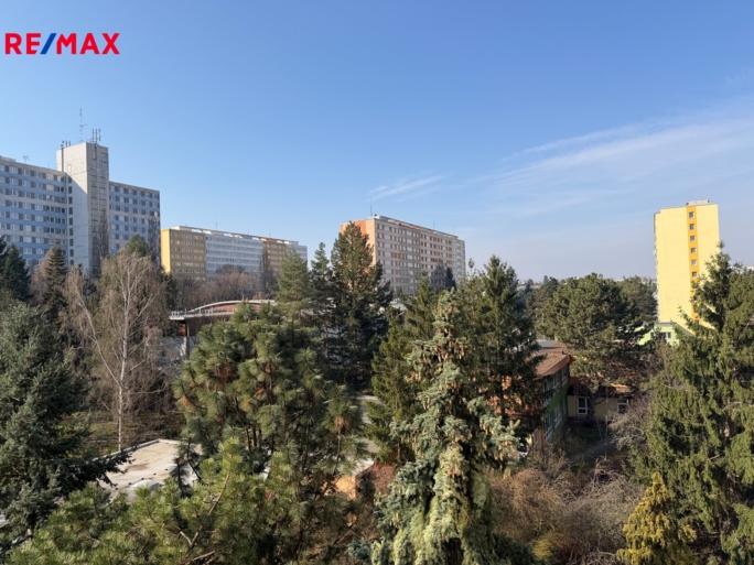 Práce v realitách Brno