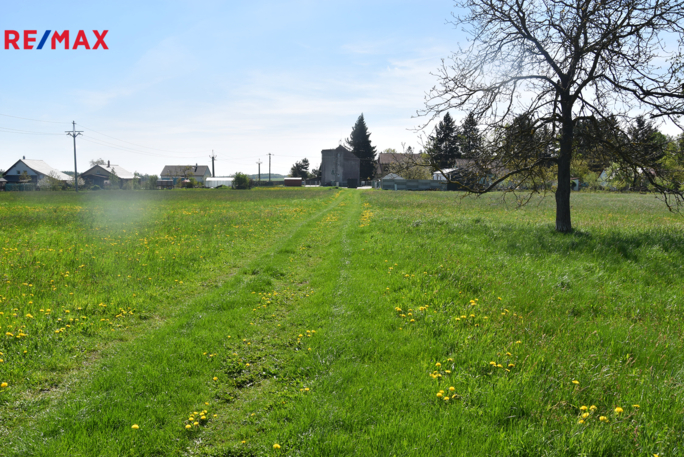 REMAX Delux REMAX Delux