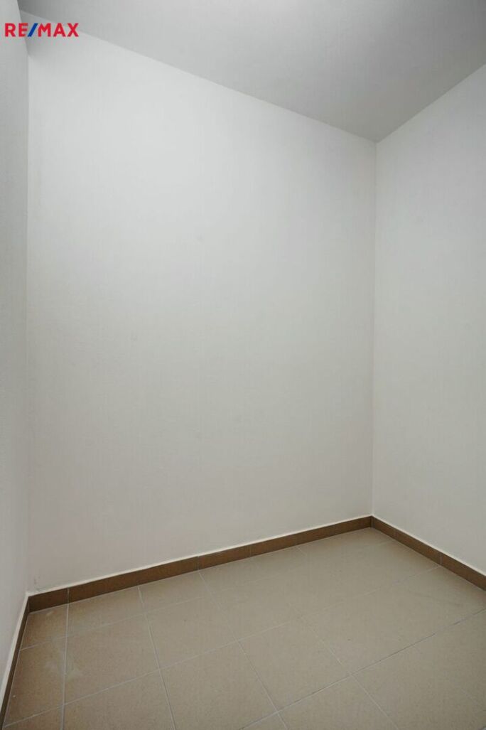 2425455.jpg