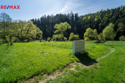 2787239.jpg 2787239.jpg