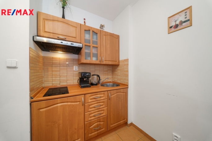 Prodej bytu 1+kk, 30 m2, Ostružná - obrázek 6