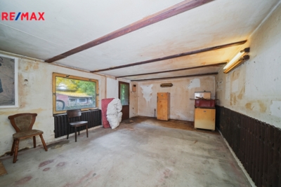 REMAX Delux